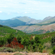 A repeat photo taken by citizen scientists Nico and Delia Oosthuizen in Nov. 2015 shows the pine plantations have expanded since then and there is a general increase in bush encroachment in the area.
